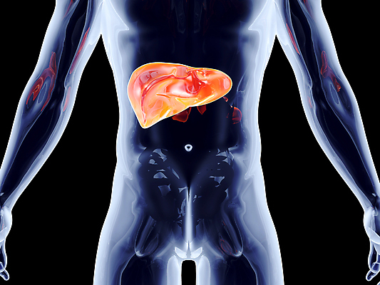 포토 JPG 해외이미지 무료이미지 신체 의학 엑스레이 건강 사람없음 3D 간 해외202004 해외포토 장기_의학 디지털합성 파일형식 무료콘텐츠