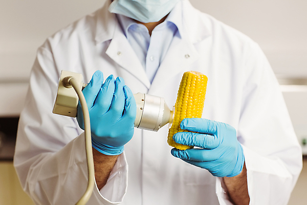 포토 JPG 해외이미지 남자 과학 장갑 실내 실험 옥수수 한명 20대 빛 약 장비 잡기 실험복 실험실 생명공학 과학자 생물학 미생물 해외202004 해외포토 직업 1 잡화 교육 의학 모션 생물 곡류 사람 청년 내부 가운 학자 파일형식