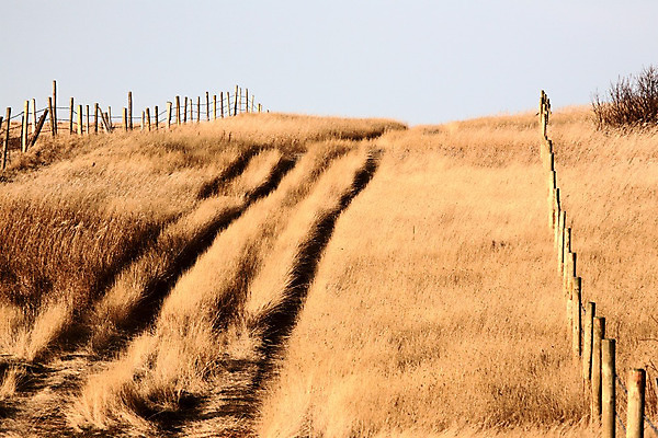 포토 JPG 해외이미지 여행 캐나다 하늘 풍경 사람없음 야외 사진촬영 가을 해외202004 해외포토 계절 북아메리카 촬영 파일형식