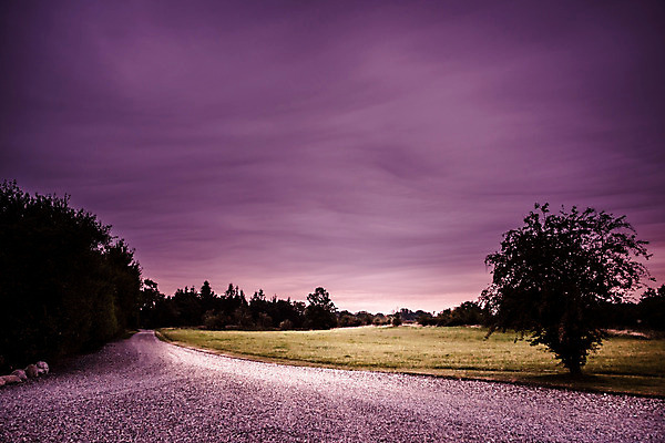 포토 JPG 해외이미지 나무 구름 계절 공원 도로 길 잎 밭 하늘 풍경 사람없음 야외 여름 햇빛 일출 보라색 황혼 새벽 가을 해외202004 해외포토 자연요소 식물 공공시설 컬러 농업 교통시설 태양 노을 일몰 파일형식