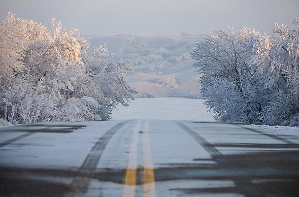 포토 JPG 해외이미지 나무 계절 캐나다 겨울 풍경 사람없음 야외 냉동 얼음 추위 흰색 물방울 서리 결정체 북쪽 해외202004 해외포토 자연요소 식물 컬러 북아메리카 방향 파일형식