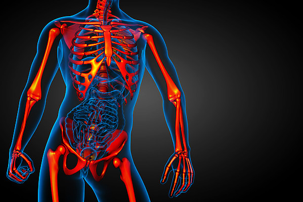 포토 JPG 해외이미지 해부 뼈 골격 엑스레이 건강 사람 사람없음 3D 척추 무릎 테라피 정형외과 해골모형 해외202004 해외포토 의학 병원 신체부위 뷰티 모형 디지털합성 파일형식