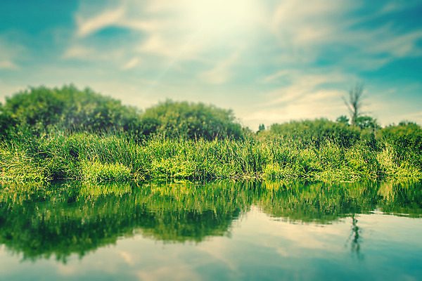 포토 JPG 해외이미지 나무 식물 구름 공원 여행 잎 하늘 풍경 사람없음 야외 물 여름 강 햇빛 태양 맑음 전원 연못 해외202004 해외포토 자연요소 계절 공공시설 날씨 전기에너지 파일형식