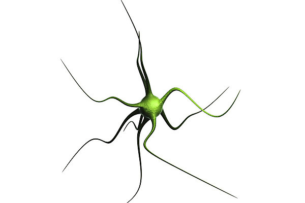 포토 JPG 해외이미지 과학 신체 해부 생물 세포 사람 사람없음 머리 3D 뇌 생물학 만들기 바이오 해외202004 해외포토 교육 의학 모션 신체부위 디지털합성 파일형식