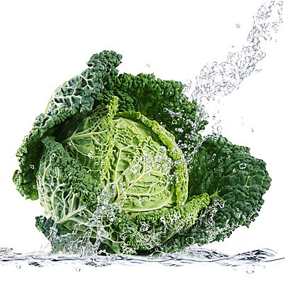 포토 JPG 해외이미지 무료이미지 사람없음 물 흰배경 양배추 스플래쉬 해외202004 해외포토 자연요소 백그라운드 채소 흰색 파일형식 무료콘텐츠
