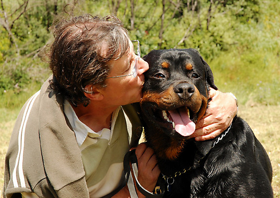 포토 JPG 해외이미지 동물 여자 남자 한명 경비 반려동물 우정 관찰 개 위험 큼 공격 주인 송곳니 쓰다듬기 해외202004 해외포토 1 컨셉 포유류 모션 안전 사람 친구 치아 보호 크기 파일형식