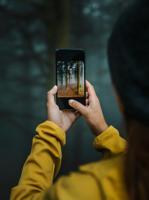 포토 JPG 해외이미지 나무 손 여자 여행 자연 휴가 한명 사람 풍경 야외 빛 스마트폰 여행객 카메라 사진촬영 잡기 숲 해외202004 해외포토 식물 1 모션 신체부위 전자제품 핸드폰 스마트기기 촬영 생태계 파일형식