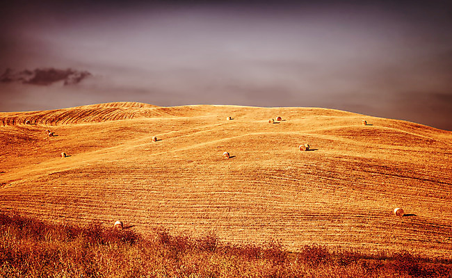 포토 JPG 해외이미지 계절 유럽 지구 음식 밭 농업 자연 하늘 날씨 건조 풍경 초원 사람없음 야외 농작물 농장 노란색 쌓기 이탈리아 수확 성장 가을 시골 황금 건초더미 볏짚 땅 시리얼 밀 보리 롤 장면 뭉치 밀짚 흙더미 밭일 토스카나 호밀 해외202004 해외포토 나라 산업 컬러 모션 곡류 흙 건초 짚 생태계 파일형식 더미