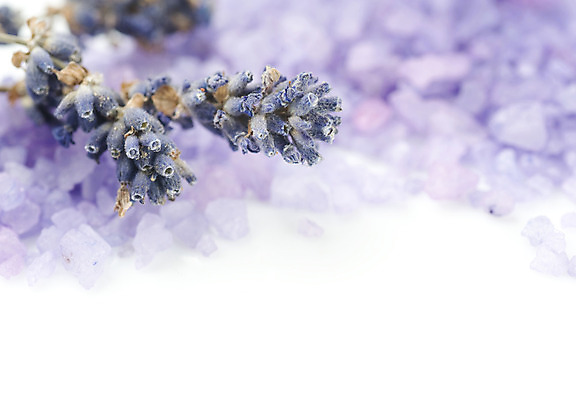 포토 JPG 해외이미지 식물 꽃 바다 신체 자연 사람없음 치료 파란색 약 보라색 스파 침묵 목욕 화장품 흰색 나뭇가지 닫기 선택 가루 다발 소중 허브 피부 유기농 냄새 아로마 소금 갈기 향 레시피 아로마테라피 라벤더 라일락 내추럴 찌그러짐 고립 돌봄 세기 국경 해외202004 해외포토 나무 웰빙 컬러 컨셉 의학 모션 신체부위 뷰티 소리 청결 생태계 테라피 파일형식