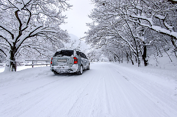 포토 JPG 해외이미지 나무 계절 도로 길 여행 겨울 교통시설 자동차 자연 날씨 풍경 사람없음 야외 빛 운전 추위 바퀴 숲 타이어 눈보라 폭설 해외202004 해외포토 식물 육상교통 교통 모션 눈_날씨 자연재해 시설 생태계 파일형식