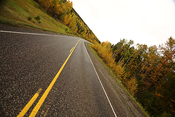 포토 JPG 해외이미지 나무 여행 잎 캐나다 풍경 사람없음 디지털 가을 소나무 고속도로 앨버타 해외202004 해외포토 식물 계절 도로 북아메리카 파일형식