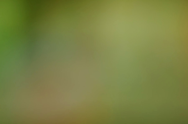 포토 JPG 해외이미지 템플릿 디자인 백그라운드 컨셉 패턴 일러스트 벽지 추상 미술 사람없음 그래픽 장식 빛 디지털 블러 스펙트럼 엘리먼트 해외202004 해외포토 무늬 문화예술 파일형식