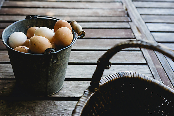 포토 JPG 해외이미지 음식 건강 사람없음 갈색 계란 신선 상품 양동이 유기농 날것 내추럴 해외202004 해외포토 웰빙 컬러 알 파일형식
