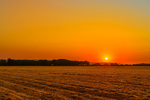 포토 JPG 해외이미지 나무 구름 밭 자연 하늘 풍경 초원 사람없음 야외 태양 일출 황혼 일몰 새벽 광선 가을 이슬 인도인 해외202004 해외포토 자연요소 외국인 식물 계절 농업 동양인 노을 생태계 파일형식