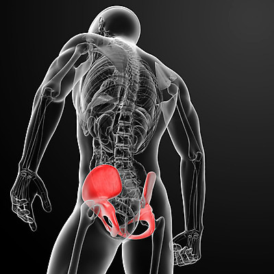 포토 JPG 해외이미지 해부 뼈 엑스레이 병원 사람 성인 약 환자 결과 질병 엉덩이 척추 관절염 외과 갈비뼈 빛망울 방사선 해외202004 해외포토 컨셉 의학 신체부위 빛 파일형식