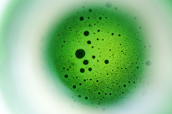 포토 JPG 해외이미지 음료 버튼 추상 맥주 사람없음 초록색 빛 반사 거품 추위 물방울 알코올 신선 바 원형 액체 떨어짐 정상 시원함 만취 상쾌 질감 중독 양조장 이스트 효과 해외202004 해외포토 도형 감정 컬러 컨셉 무늬 주류 술취함 파일형식