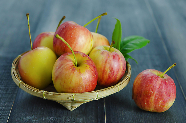 포토 JPG 해외이미지 무료이미지 사람없음 바구니 수확 사과 나무배경 해외202004 해외포토 백그라운드 농업 과일 파일형식 무료콘텐츠