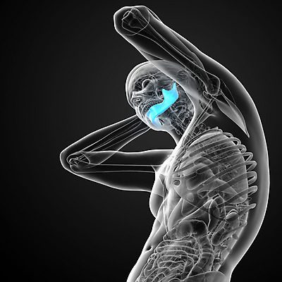 포토 JPG 해외이미지 해부 뼈 골격 엑스레이 건강 사람 사람없음 머리 3D 죽음 치아 해골모형 해외202004 해외포토 의학 신체부위 모형 소화기관 디지털합성 파일형식