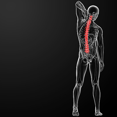 포토 JPG 해외이미지 실루엣 포즈 일러스트 뼈 골격 엑스레이 건강 사람없음 파란색 3D 척추 몸통 염증 요통 해외202004 해외포토 컬러 의학 촬영기법 신체부위 질병 디지털합성 허리통증 파일형식