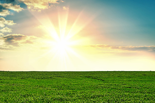 포토 JPG 해외이미지 식물 구름 계절 문화 지구 백그라운드 잎 밭 농업 자연 하늘 파노라마 풍경 초원 사람없음 야외 초록색 여름 파란색 햇빛 태양 농장 농경지 노란색 일출 환경 맑음 일몰 봄 성장 시골 땅 언덕 장면 내추럴 땅바닥 밭일 줄서기 평야 수평선 세련 해외202004 해외포토 자연요소 산업 컬러 모션 날씨 바닥 촬영기법 노을 생태계 파일형식