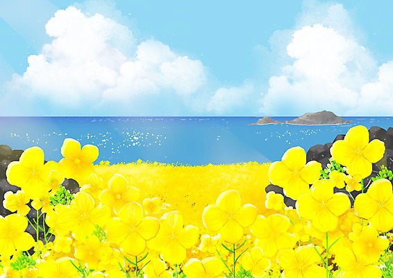 PSD 구름 바다 백그라운드 일러스트 하늘 풍경 사람없음 제주도 노란색 유채 유채밭 제주도여행 국내일러스트 자연요소 꽃 컬러 여행 밭 한국 파일형식