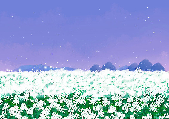 PSD 백그라운드 꽃밭 일러스트 풍경 사람없음 제주도 보라색 흰색 메밀꽃 제주도여행 국내일러스트 꽃 컬러 여행 한국 파일형식