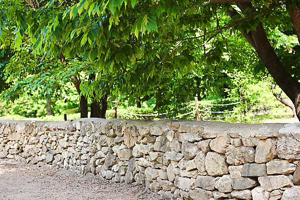 포토 JPG 주간 나무 공원 자연 돌담 풍경 사람없음 야외 여름 맑음 숲 자연휴양림 국내포토 자연요소 식물 계절 공공시설 날씨 담장 돌_바위 생태계 휴양림 파일형식