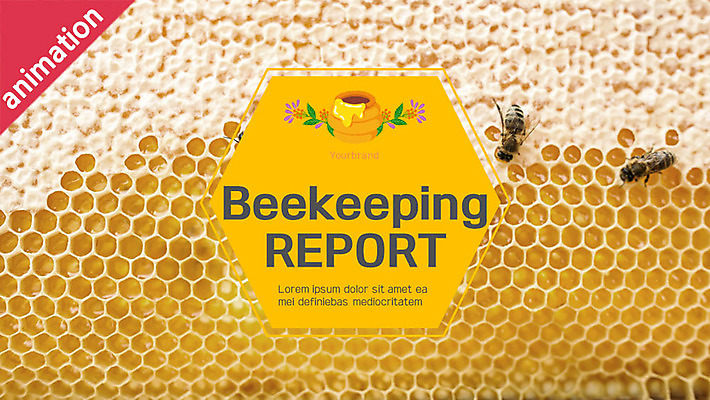 서양인 외국인 백인 템플릿 여자 40대 중년 비즈니스 통계 그래프 두명 세트 노란색 농사 꿀벌 PPT 프레젠테이션 문서템플릿 문서 꿀 양봉 중년여자만 애니형PPT 9P 이미지템플릿 컬러 농업 사람 인종 성인 벌_곤충 여자만 중년만 파일형식
