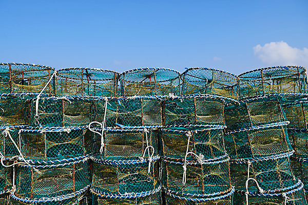 포토 JPG 주간 바다 풍경 사람없음 야외 마을 여러개 시골 충청남도 어촌 태안 서해 통발 국내포토 자연요소 다수 어업 충청도 파일형식