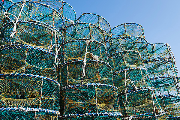 포토 JPG 주간 바다 풍경 사람없음 야외 마을 여러개 시골 충청남도 어촌 태안 서해 통발 국내포토 자연요소 다수 어업 충청도 파일형식