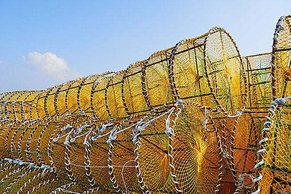 포토 JPG 주간 바다 풍경 사람없음 야외 마을 여러개 시골 충청남도 어촌 태안 서해 통발 국내포토 자연요소 다수 어업 충청도 파일형식