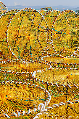 포토 JPG 주간 바다 풍경 근접촬영 사람없음 야외 마을 여러개 시골 충청남도 어촌 태안 서해 통발 국내포토 자연요소 뷰포인트 다수 어업 충청도 파일형식