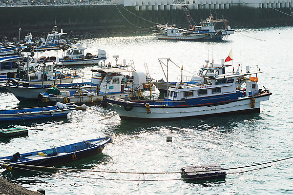 포토 JPG 주간 바다 풍경 사람없음 야외 마을 항구 시골 정박 어촌 경기도 서해 여러척 선박 궁평항 국내포토 자연요소 다수 수상교통 배_교통 교통시설 한국 파일형식