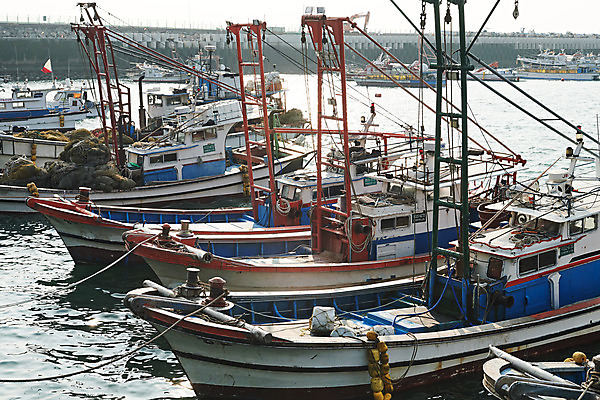 포토 JPG 주간 바다 풍경 사람없음 야외 마을 항구 시골 정박 어촌 경기도 서해 여러척 선박 궁평항 국내포토 자연요소 다수 수상교통 배_교통 교통시설 한국 파일형식