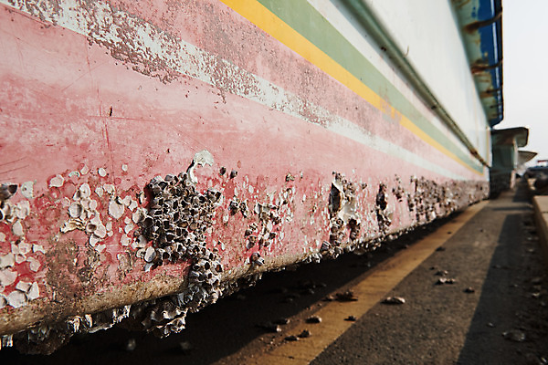포토 JPG 주간 바다 풍경 근접촬영 사람없음 야외 마을 항구 시골 어촌 경기도 따개비 서해 선박 궁평항 국내포토 자연요소 뷰포인트 수상교통 교통시설 한국 파일형식