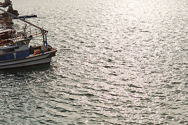 포토 JPG 주간 바다 풍경 사람없음 야외 마을 항구 시골 정박 어촌 경기도 서해 여러척 선박 궁평항 국내포토 자연요소 다수 수상교통 배_교통 교통시설 한국 파일형식