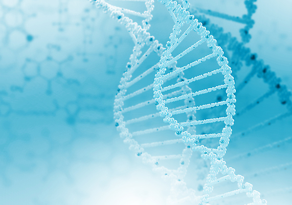 포토 JPG 해외이미지 줄기 과학 백그라운드 세포 나선형 건강 실험 사람 사람없음 약 진화 바이러스 DNA 생명공학 약국 생물학 미생물 염색체 조제 더블 바이오 복제 유전 해외202004 해외포토 식물 교육 무늬 의학 생물 소방 만들기 파일형식