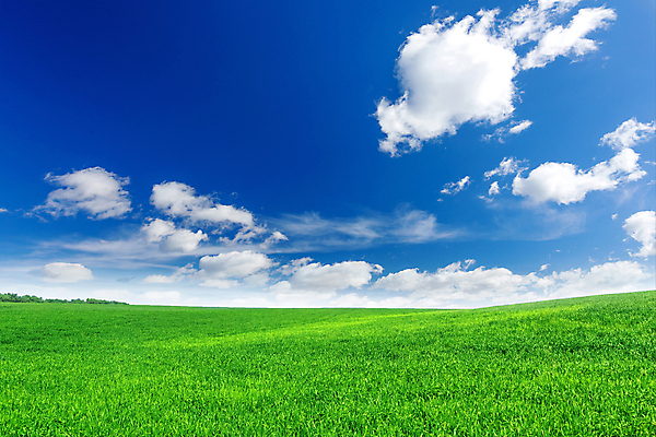 포토 JPG 해외이미지 주간 무료이미지 백그라운드 자연 하늘 풍경 초원 사람없음 야외 초록색 파란색 해외202004 해외포토 자연요소 컬러 생태계 파일형식 무료콘텐츠