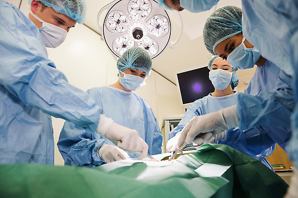 포토 JPG 해외이미지 백인 학생 여자 교육 남자 실내 병원 실험 여러명 20대 학습 교수 의사 잡기 수술 연습 대학교 외과 인턴 의료성형뷰티 성인만 해외202004 해외포토 서양인 다수 비즈니스 의학 학교 모션 사람 청년 내부 치료 교사 의료진 파일형식