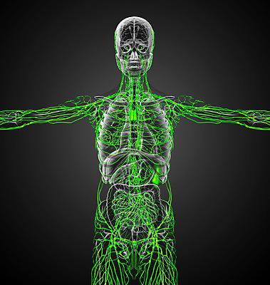 포토 JPG 해외이미지 해부 세포 항해 사람 사람없음 머리 3D 오르간 수증기 함선 시스템 암 마디 해외202004 해외포토 배_교통 의학 신체부위 건반악기 질병 디지털합성 파일형식