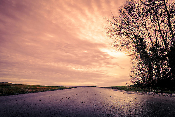포토 JPG 해외이미지 나무 구름 도로 선 여행 백그라운드 자연 하늘 아침 날씨 거리 풍경 사람없음 야외 여름 빛 태양 노란색 일출 일몰 운전 젖음 가을 시골 고속도로 분위기 저녁 아스팔트 뇌우 방법 선로 수평선 해외202004 해외포토 주간 자연요소 식물 계절 길 컬러 컨셉 교통시설 모션 노을 야간 생태계 파일형식