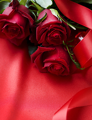 포토 JPG 해외이미지 무료이미지 리본 백그라운드 사람없음 빨간색 장미 해외202004 해외포토 꽃 컬러 파일형식 무료콘텐츠