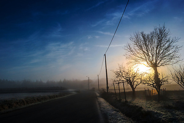 포토 JPG 해외이미지 나무 도로 컨셉 겨울 파노라마 풍경 사람없음 태양 일출 얼음 어둠 추위 안개 시골 이슬 상승 뿌연 해외202004 해외포토 자연요소 식물 계절 길 교통시설 날씨 촬영기법 노을 파일형식