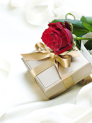 포토 JPG 해외이미지 무료이미지 사랑 사람없음 선물상자 장미 해외202004 해외포토 꽃 감정 선물 상자 파일형식