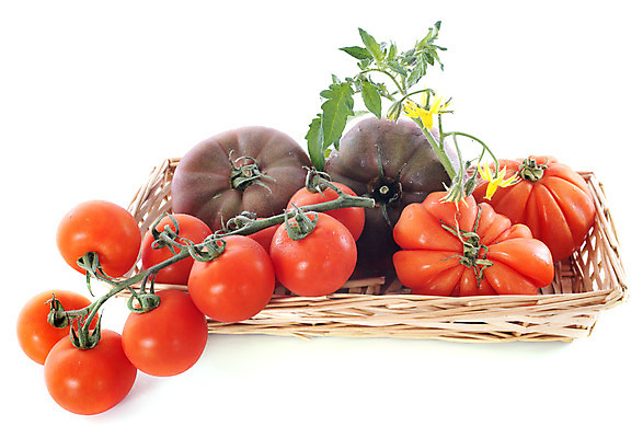 포토 JPG 해외이미지 무료이미지 농업 채소 방울토마토 호박 사람없음 바구니 흰배경 담기 호박꽃 해외202004 해외포토 꽃 산업 백그라운드 토마토 모션 흰색 파일형식 무료콘텐츠