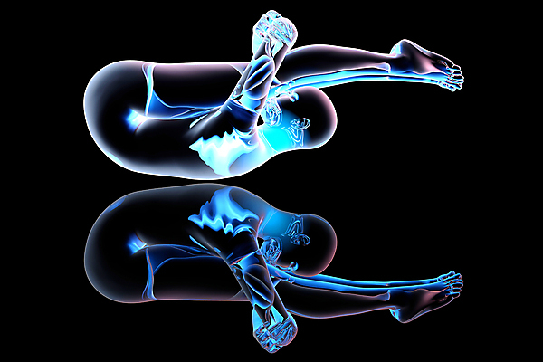 포토 JPG 해외이미지 라이프스타일 여자 스포츠 포즈 신체 요가 해부 휴식 조명 건강 사람 성인 사람없음 운동 평화 스트레칭 힘 활발 에너지 집중 연습 명상 체육관 위치 반대 해외202004 해외포토 웰빙 컨셉 의학 생활 파일형식