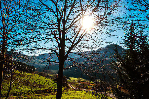 포토 JPG 해외이미지 나무 식물 구름 여행 겨울 자연 하늘 산 풍경 초원 사람없음 야외 태양 맑음 낭만 가을 해외202004 해외포토 자연요소 계절 컨셉 날씨 생태계 파일형식
