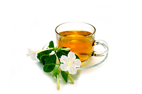 포토 JPG 해외이미지 무료이미지 라이프스타일 꽃 사람없음 차 찻잔 컵받침 오브젝트 흰배경 해외202004 해외포토 식물 음료 백그라운드 잔 생활 흰색 받침대 파일형식 무료콘텐츠