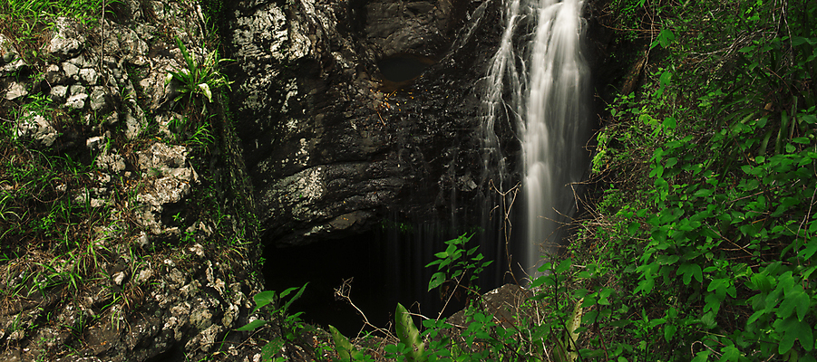 포토 JPG 해외이미지 공원 여행 잎 자연 풍경 사람없음 야외 초록색 물 강 환경 침묵 폭포 젖음 바위 신선 개울 재산 호주 떨어짐 숲 열대우림 내추럴 생태학 전국 해외202004 해외포토 자연요소 식물 공공시설 교육 컬러 컨셉 금융 소리 돌_바위 오세아니아 생태계 파일형식