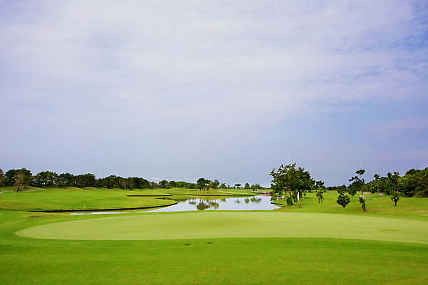 포토 JPG 해외이미지 나무 무료이미지 골프장 필드 잔디 사람없음 해외202004 해외포토 식물 골프 스포츠시설 파일형식 무료콘텐츠